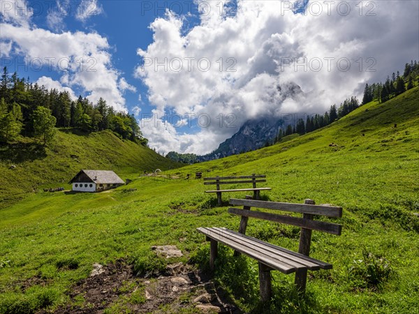 Viewing bench on the Halsalm