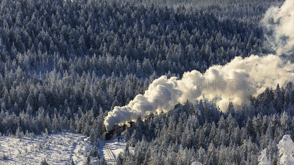 Brockenbahn travels through snowy Spruces (Picea) to the Brocken