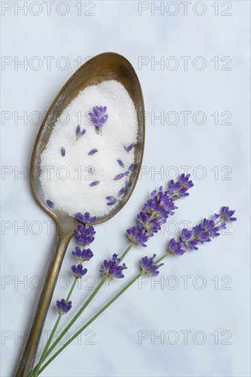 Lavender sugar in spoon and lavender flowers