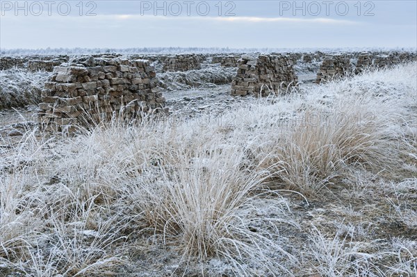 Piled up peat sods in the bog in winter at hoarfrost