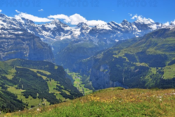 Mountain meadow on the Maennlichen with Lauterbrunnen valley and Breithorn