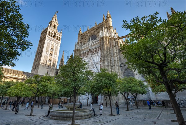 View from the orange courtyard with orange trees