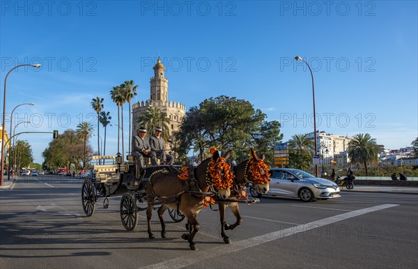 Decorated horse-drawn carriage on the Paseo Cristobal Colon
