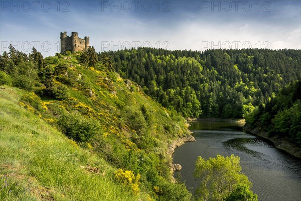 Castle of Alleuze