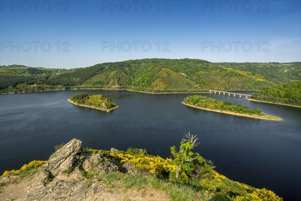 Lake of Grandval on river Truyere