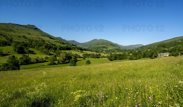 Dienne valley leading to Puy Mary