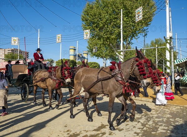 Decorated horse-drawn carriage