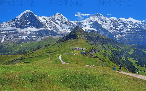 Mountain meadow and hiking trail on the Maennlichen with the triumvirate of the Eiger