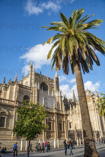 Cathedral of Seville