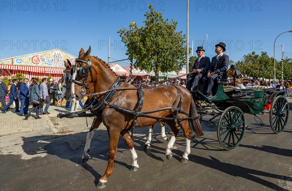 Decorated horse-drawn carriage