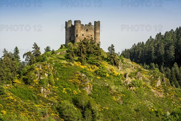 Castle of Alleuze