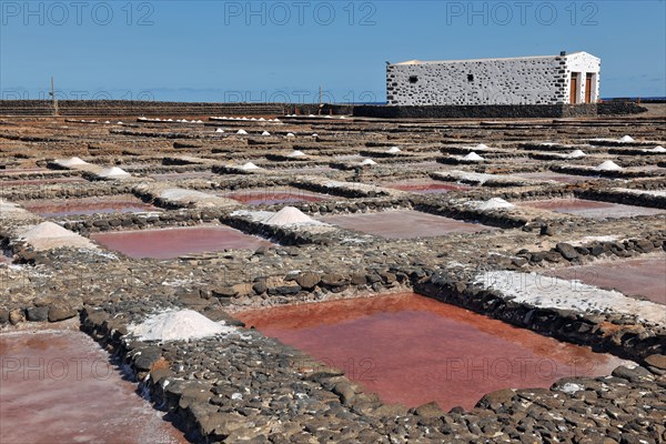 Historical salt production