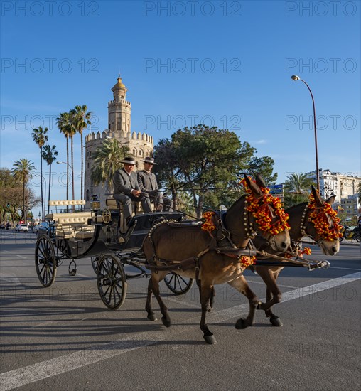 Decorated carriage on the Paseo Cristobal Colon