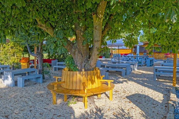 Beer garden with round bench and chestnut tree