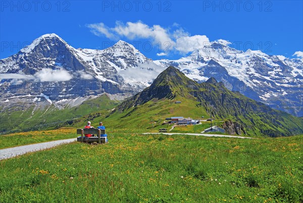 Mountain meadow on the Maennlichen with the triumvirate of the Eiger