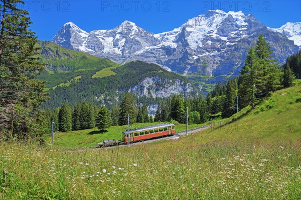 Mountain meadow and Muerren railway with the triumvirate of the Eiger