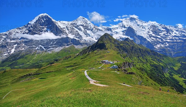 Mountain meadow and hiking trail on the Maennlichen with the triumvirate of the Eiger