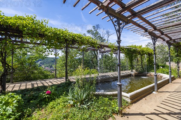 Wine Terraces of Wernigerode Castle