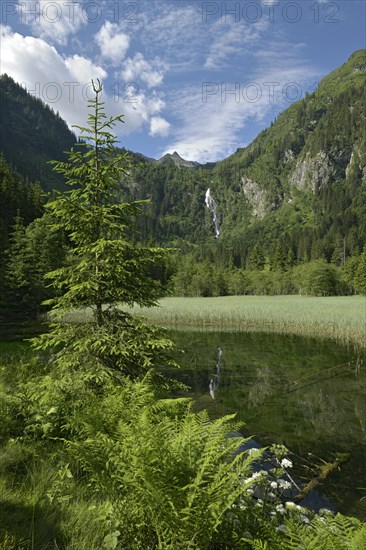 Styrian Lake Constance in summer