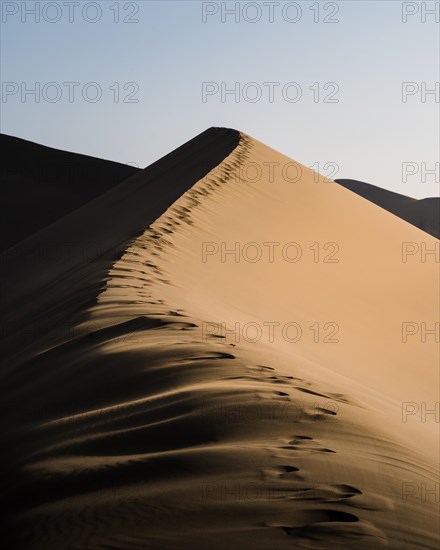 Footprints Gobi Desert