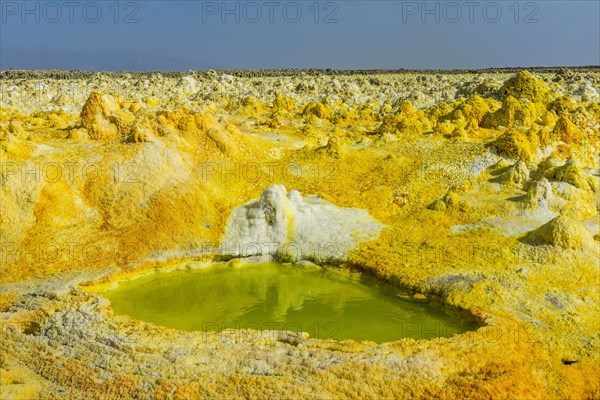 Geothermal area with sulphur deposits and acidic brine