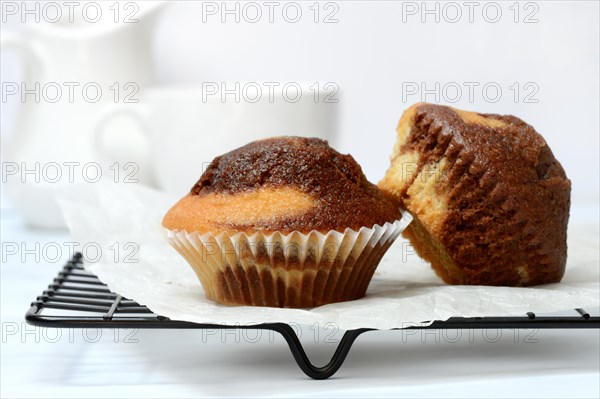 Two chocolate muffins on cake grid