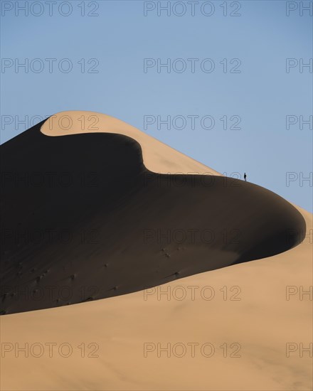 A unique dune in the Gobi Desert