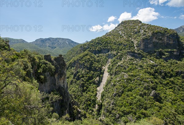 Forested slopes