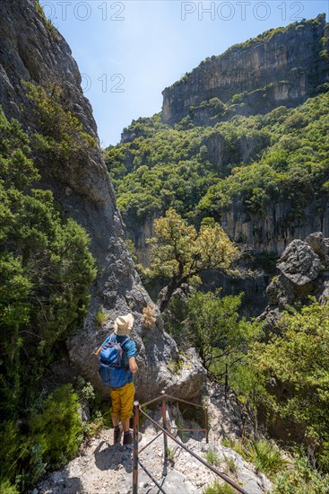 Hiker on a hiking trail