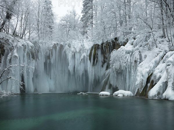 Winter landscape