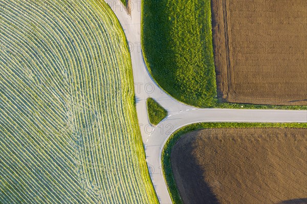 Country road between Felder