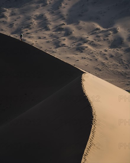 A lonely desert wanderer in the Gobi Desert