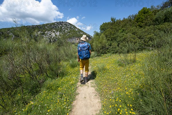 Hiker on a hiking trail