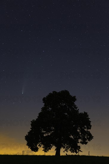 Comet C/2020 F3