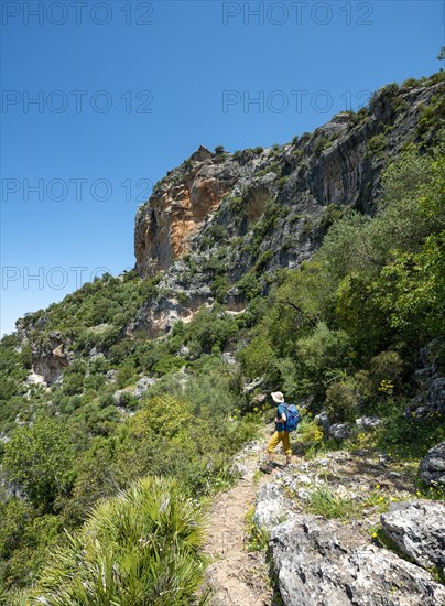 Hiker on a hiking trail