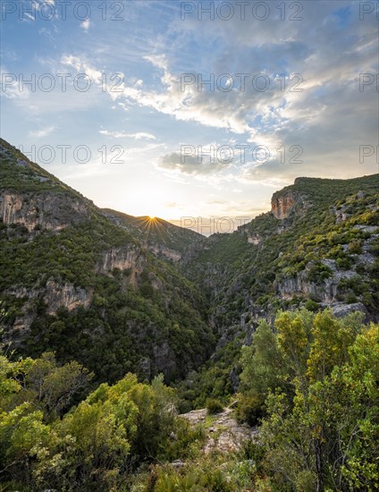 Forested slopes