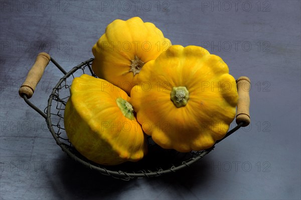 Yellow patisson pumpkins in wire basket