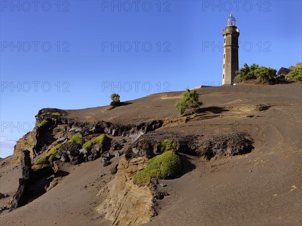 Volcanic coast