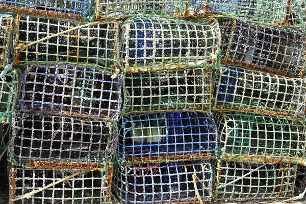 Basket fish traps for crab and lobster fishing in the Atlantic Ocean