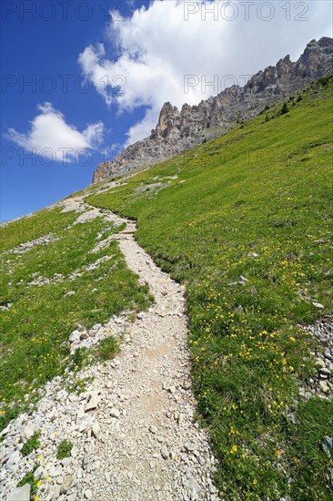 Hiking trail on the Latemar