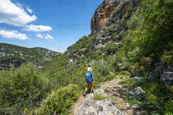 Hiker on a hiking trail