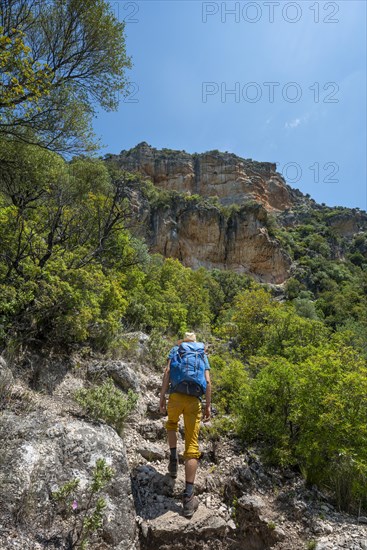 Hiker on a hiking trail