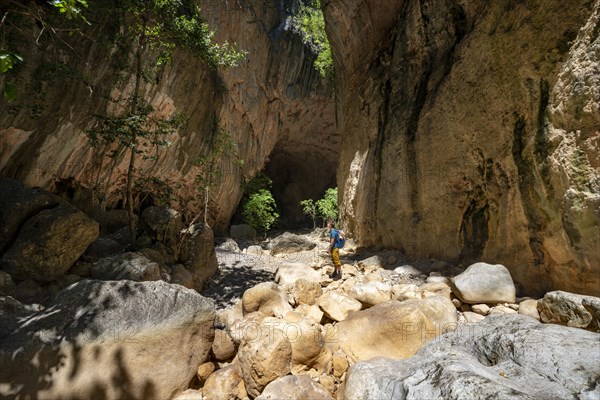 Hikers in the canyon with green trees