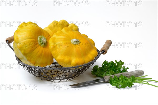 Yellow patisson pumpkins in wire basket