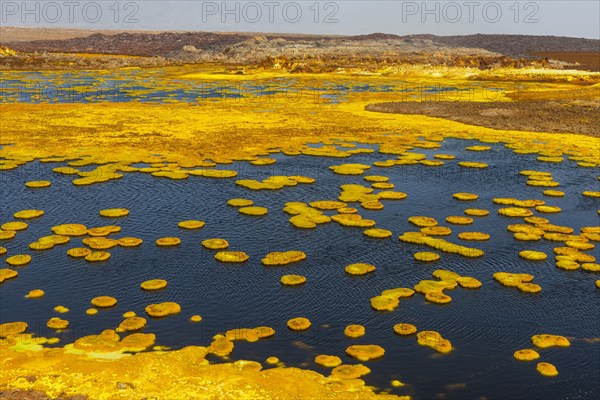 Geothermal area with sulphur deposits and acidic brines