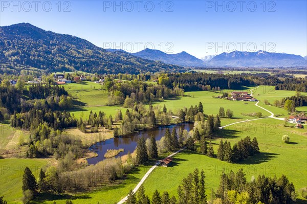 Schoenauer Weiher