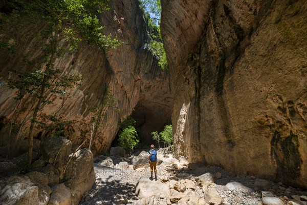 Hikers in the canyon with green trees