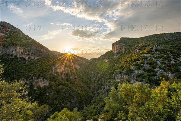 Forested mountainsides