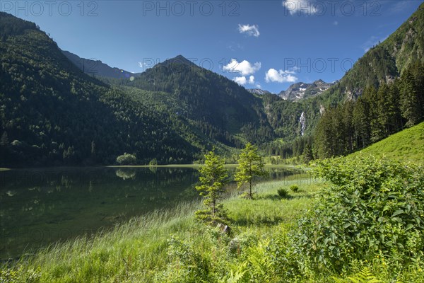 Styrian Lake Constance in summer