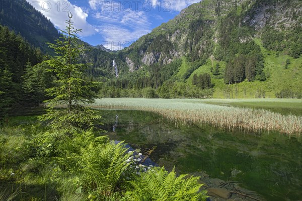 Styrian Lake Constance in summer